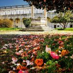 certosa certosa