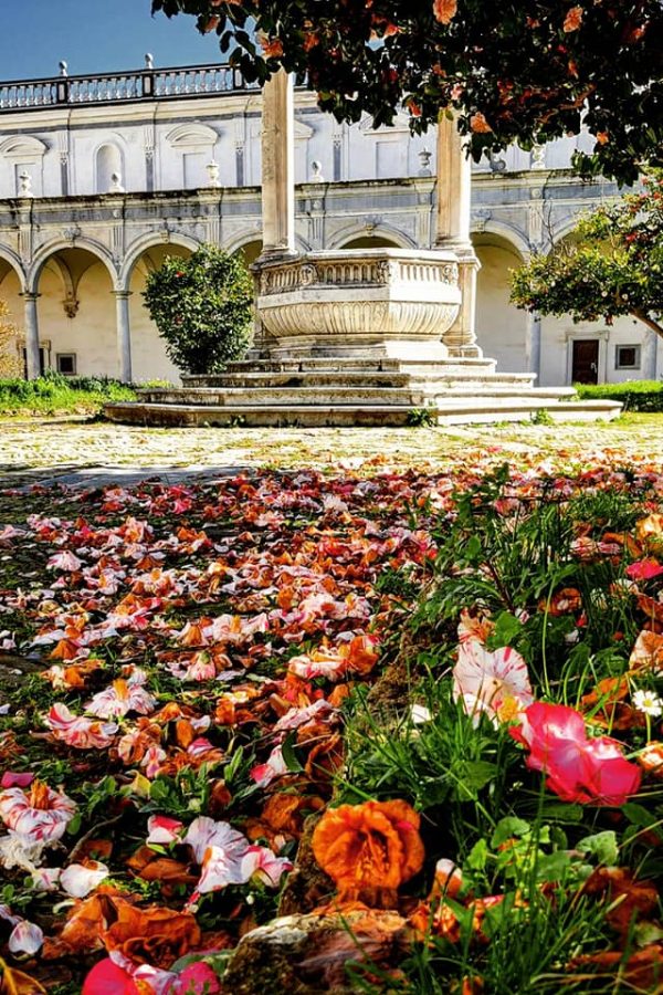 certosa certosa