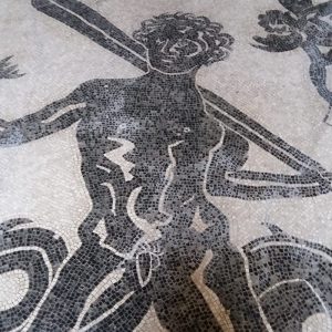 mosaico terme ercolano