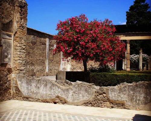 tablino casa del fauno