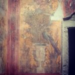 villa Poppea villa Poppea